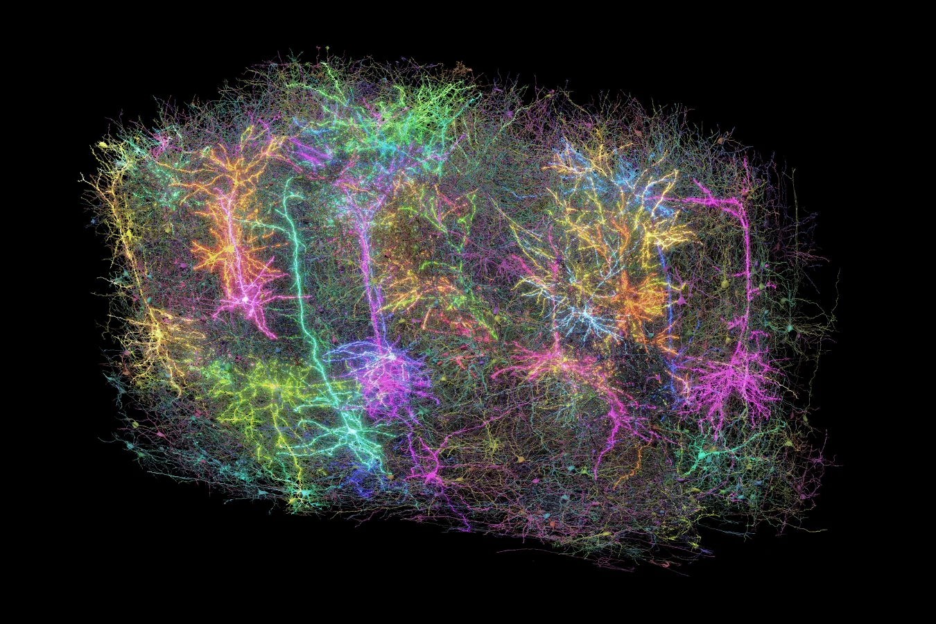 LIF Neuron visualization